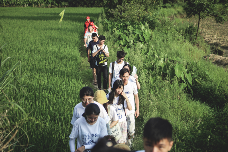 行走在乡间小路