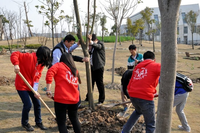 临港青年共同种下友谊之树