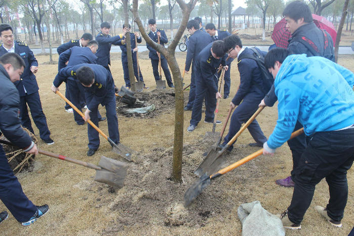 全校师生共同参与