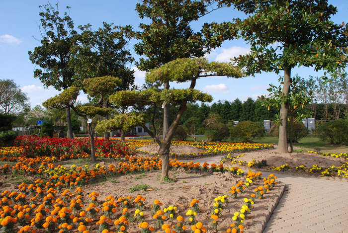 上海海事大学花圃