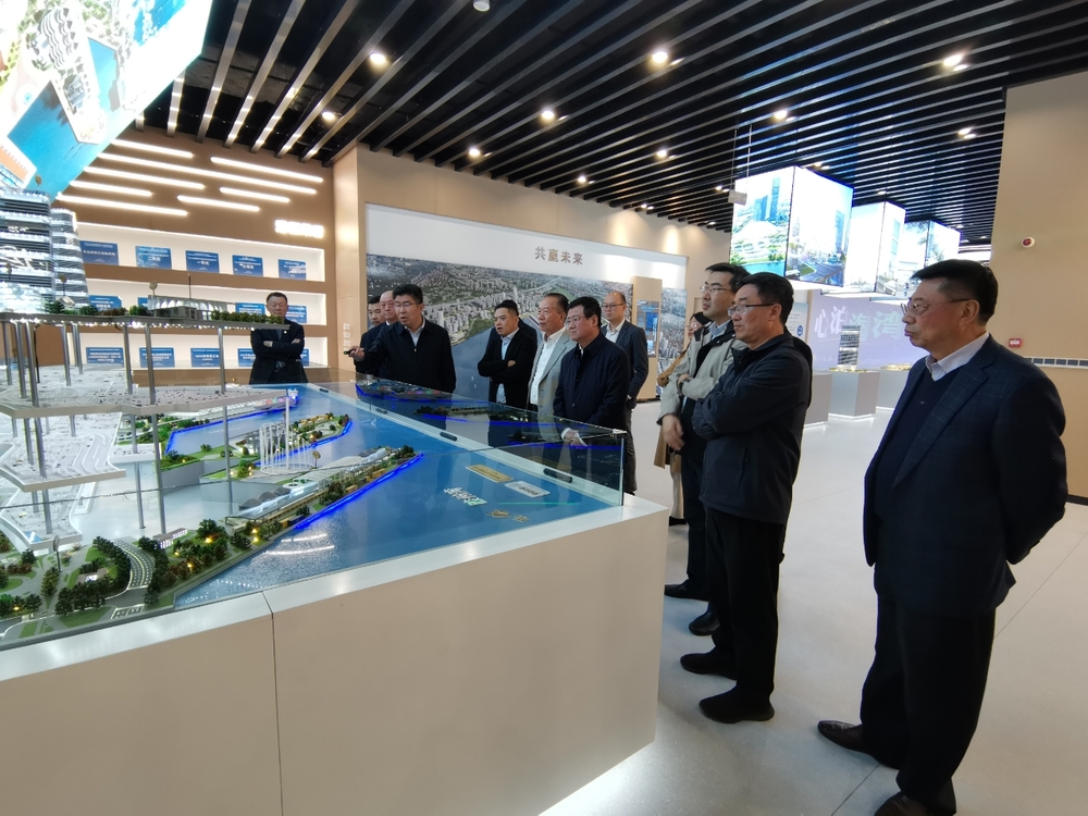 调研青岛邮轮港区启动区规划展厅、集装箱部落