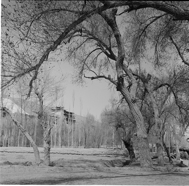 莫高窟九层楼前-外景-1956年