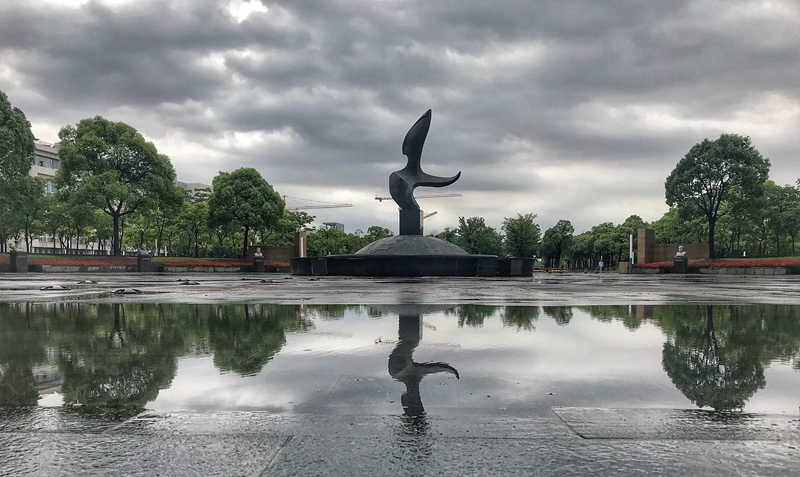 雨后的腾飞-张旭