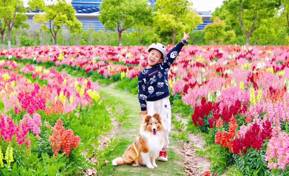 资产公司--“我和大自然有个约会”摄影