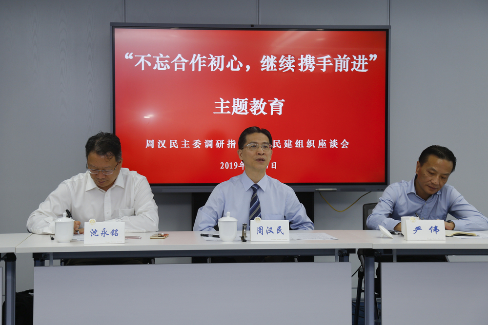 周汉民调研指导临港地区民建组织主题教育