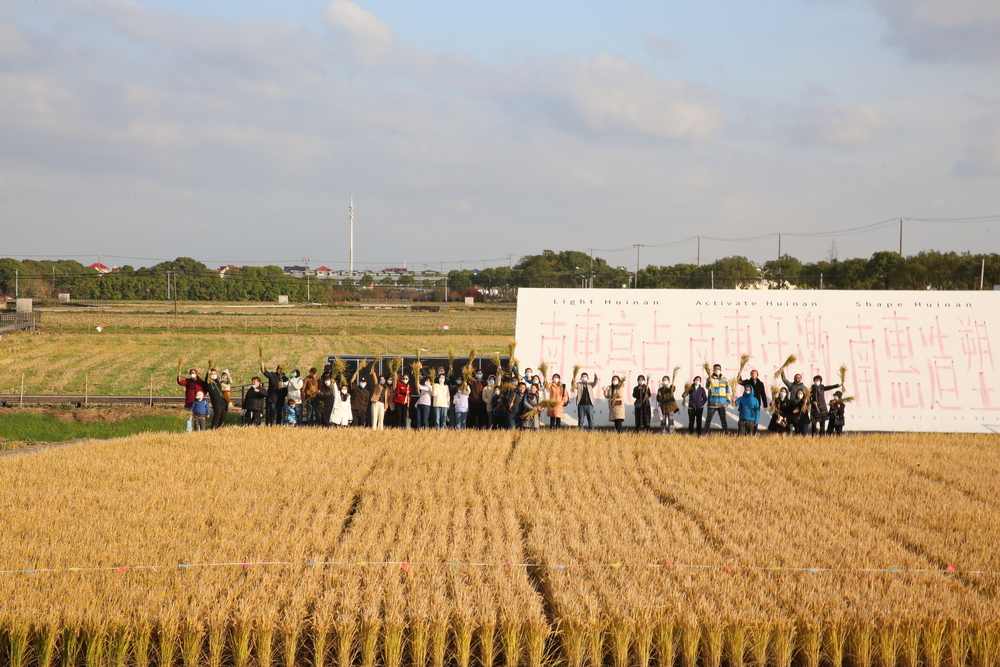 海沈村稻田合影