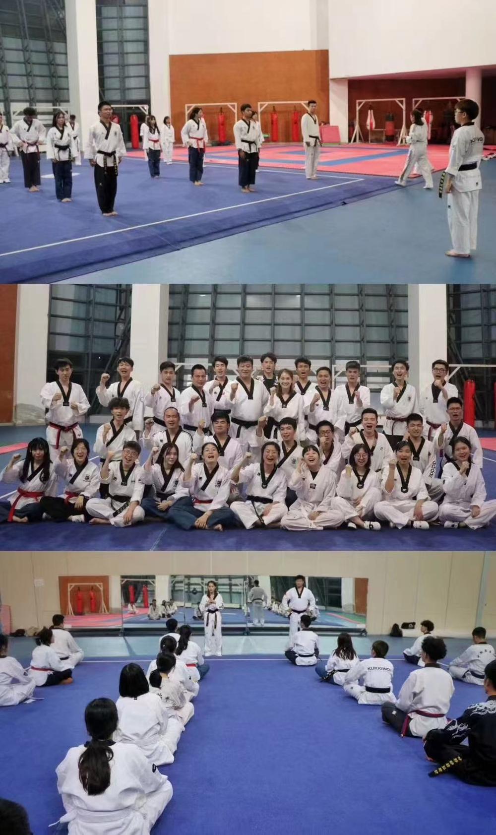 跆拳道协会工作