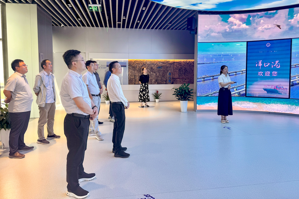 实地调研如东县洋口港能源岛